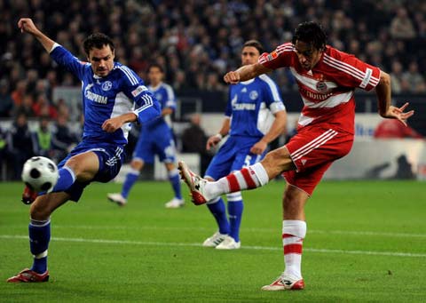 以其稳定的 以其稳定的